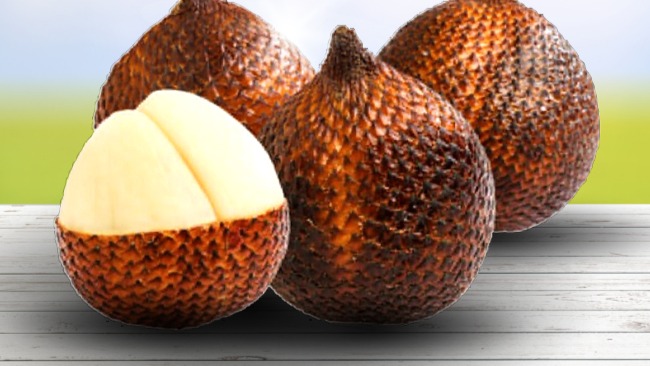 Buah salak yang kaya manfaat dan nutrisi