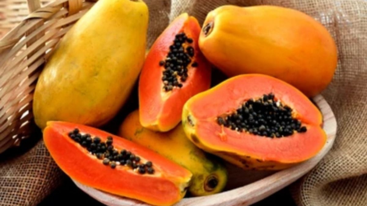 Buah pepaya gemoy penambah nustrisi